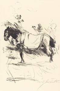 Cavallo da sella, 1916 da Lovis Corinth