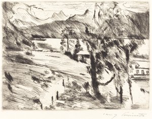 Paesaggio del Walchensee