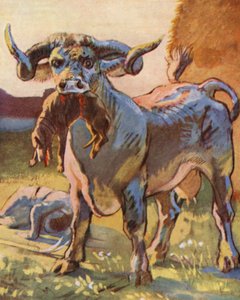 Illustrazione per le storie di Guy di Warwick (litografia a colori)