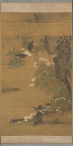 Anatre mandarine e ibisco rosa cotone da Lu Ji