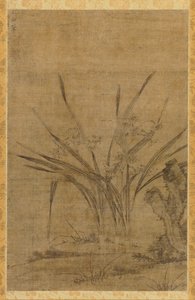 Narciso e rocce