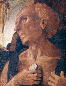 San Girolamo da Luca (attr.to) Signorelli
