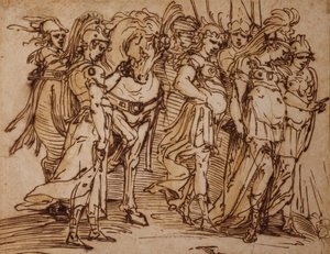 Amazzoni con un cavallo in processione verso destra da Luca Cambiaso