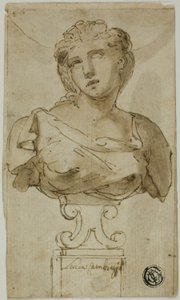Busto di una donna da Luca Cambiaso