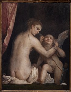 Venere benda Cupido da Luca Cambiaso
