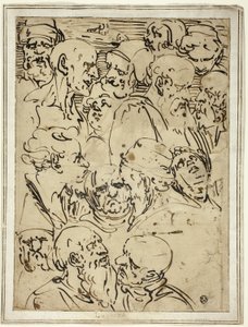 Schizzi di teste da Luca Cambiaso