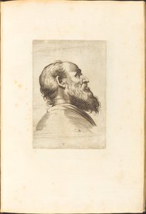 Stampa dal libro di disegni da Luca Ciamberlano