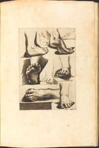 Stampa dal libro di disegni da Luca Ciamberlano