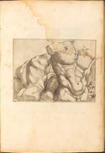 Stampa dal Libro di Disegni