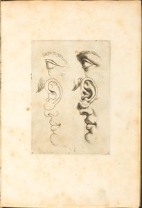 Stampa dal libro di disegni da Luca Ciamberlano