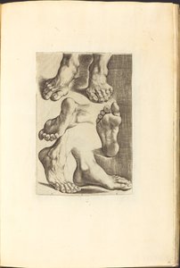 Stampa dal libro di disegni da Luca Ciamberlano