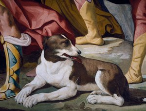 Cane, (dettaglio) di affresco dal ciclo delle Storie di Antenore da Luca Ferrari