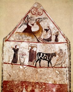 Un toro conduce sull