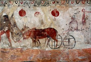 Un pastore e due asini affresco lucano del IV secolo a.C., dalla necropoli di Paestum, Italia. Museo nazionale archeologico, Paestum da Lucanian School