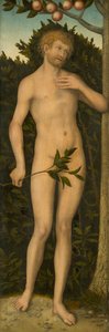 Adamo