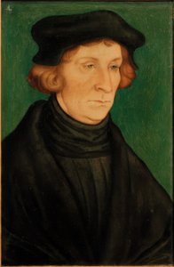 Ritratto di uno Studioso (Otto Brunfels) da Lucas Cranach the Elder