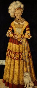 Duchessa Katharina von Mecklenburg 1487-1561, 1514 da Lucas Cranach the Elder