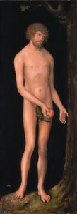 Tedesco: Adam Adam da Lucas Cranach the Elder