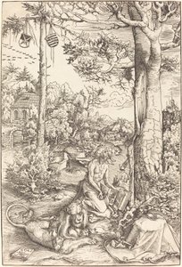 La penitenza di San Girolamo
