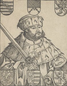 Copia di Giovanni Federico il Magnanimo, in abiti elettorali