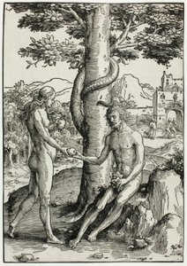 Adamo ed Eva (La caduta dell