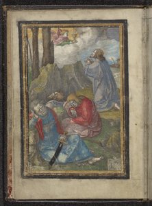 Cristo nel giardino del Getsemani da Lucas van Leyden