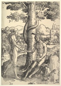 La caduta dell