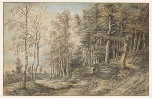 Paesaggio boschivo