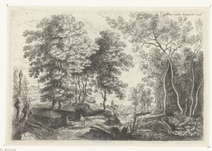 Paesaggio con un ruscello attraverso un bosco