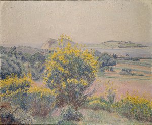 Ginestra, Le Brusq