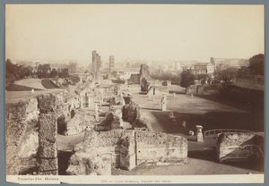 Rovine dei palazzi imperiali sul Palatino a Roma da Ludovico Tuminello
