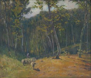 Pecore nella foresta da Ludovit Cordak