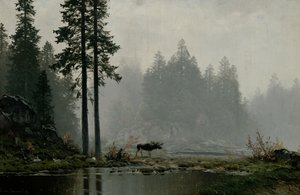 Nebbia autunnale