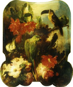 Uccelli esotici e fiori