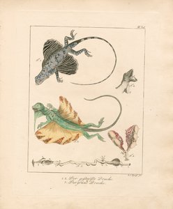  da Ludwig Christoph Tyroff