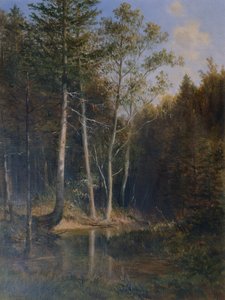 Parte del bosco al Gerichtsberg vicino a Kaumberg