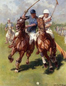 Una Partita di Polo