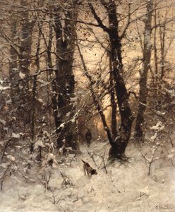 Crepuscolo invernale