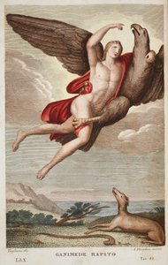 Ganimede rapito, Libro X, illustrazione dalle Metamorfosi di Ovidio, Firenze, 1832 da Luigi Ademollo
