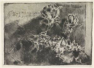 Ramo di rosa