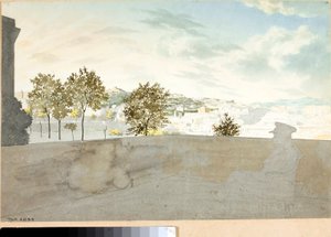 Veduta della città di Genova da una terrazza da Luigi Garibbo