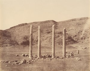 Persepoli da Luigi Pesce