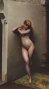 Il Favorito da Luis Riccardo Falero