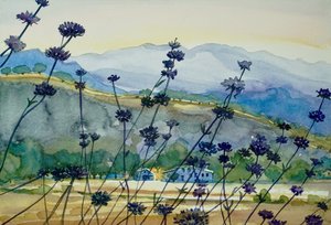 Vista sulle montagne dalla lavanda