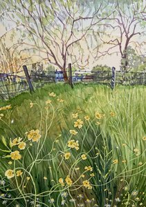 Fiori di campo e staccionata da Luisa Millicent