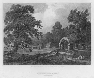 Abbazia di Newminster, Northumberland da Luke (after) Clennell