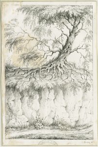 Albero di Dudley da Luke Booker