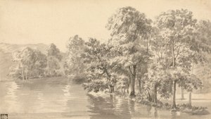 Alberi vicino a un lago da Luke Sullivan