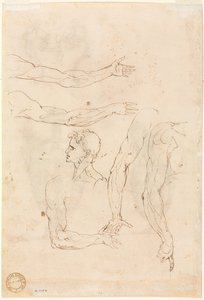 Schizzi di cinque braccia e una testa (verso) da Luzio Romano