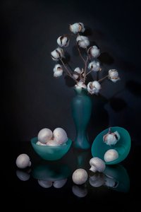Natura morta con cotone e funghi da Lydia Jacobs